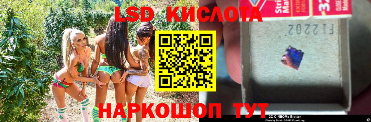 Марки NBOMe 1,5мг  Вход с VPN  Печора 