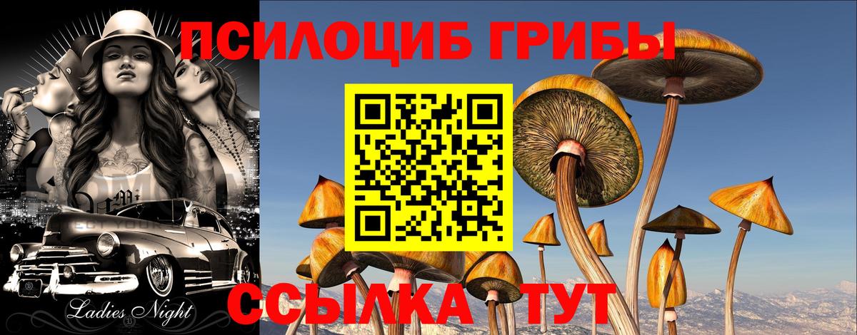 Псилоцибиновые грибы Cubensis  Вход с VPN  Галлюциногенные грибы MAGIC MUSHROOMS  Печора 