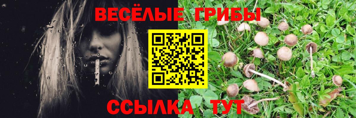 Галлюциногенные грибы GOLDEN TEACHER Печора